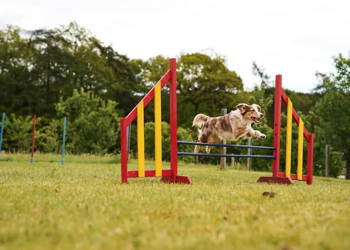 Hof Koehne - Haus Landvergnuegen Links