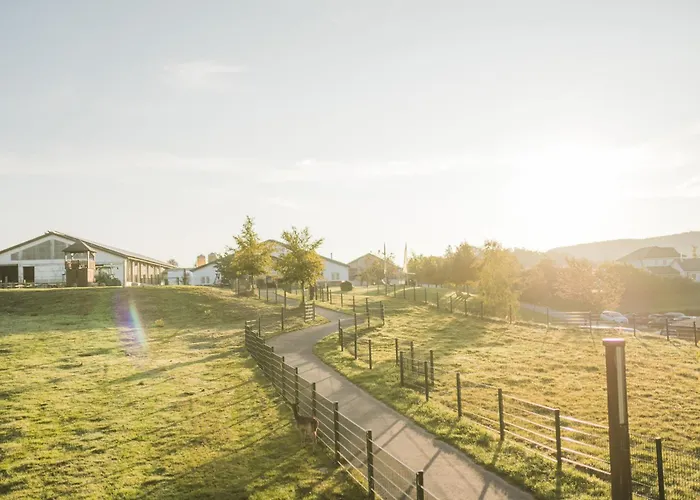 Vakantiehuis Hof Koehne - Haus Landvergnuegen Links Schmallenberg