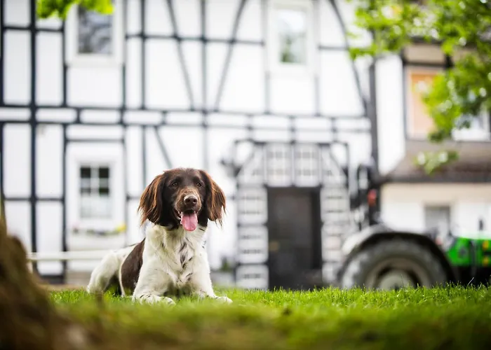 Hof Koehne - Haus Landvergnuegen Links *