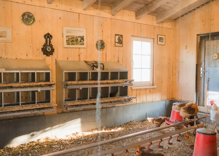 Hof Koehne - Haus Landvergnuegen Links * Schmallenberg