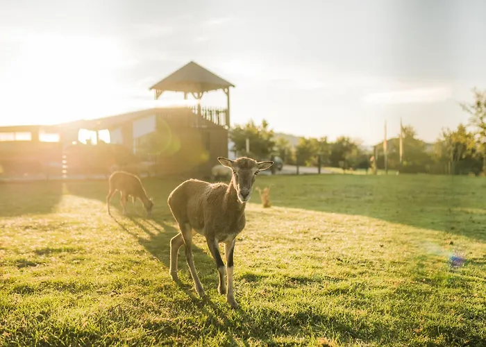 Vakantiehuis Hof Koehne - Haus Landvergnuegen Links
