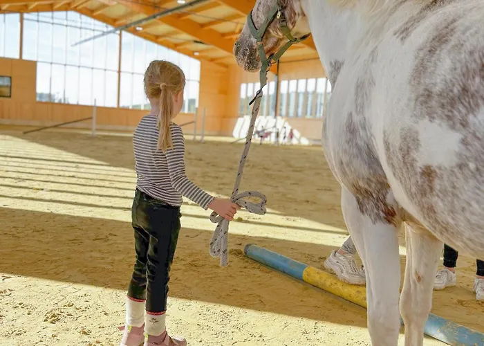 Hof Koehne - Haus Landvergnuegen Links Vakantiehuis Schmallenberg